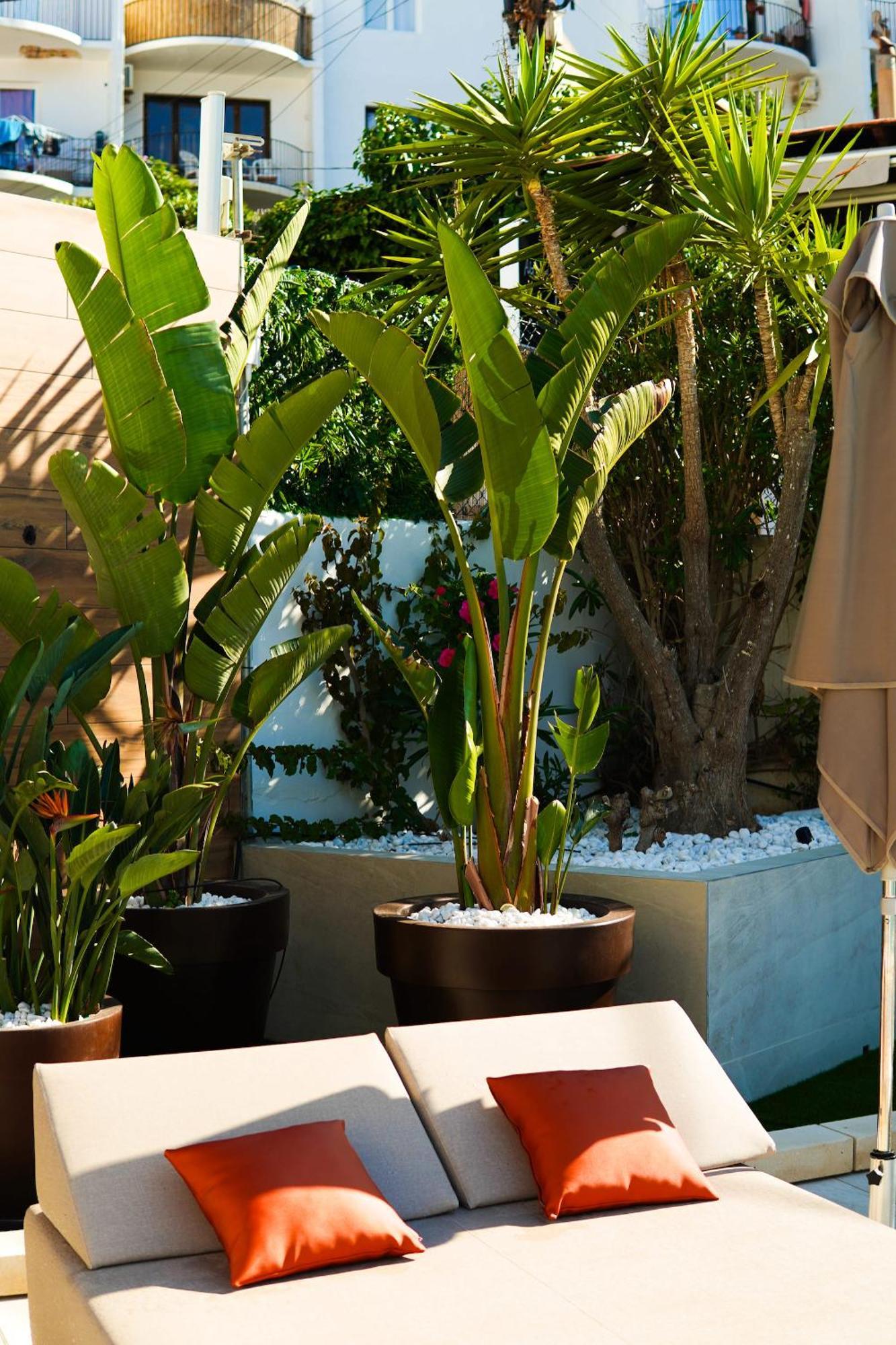 Typic Oasis Sa Tanca Apartment Cala Llonga  Bagian luar foto